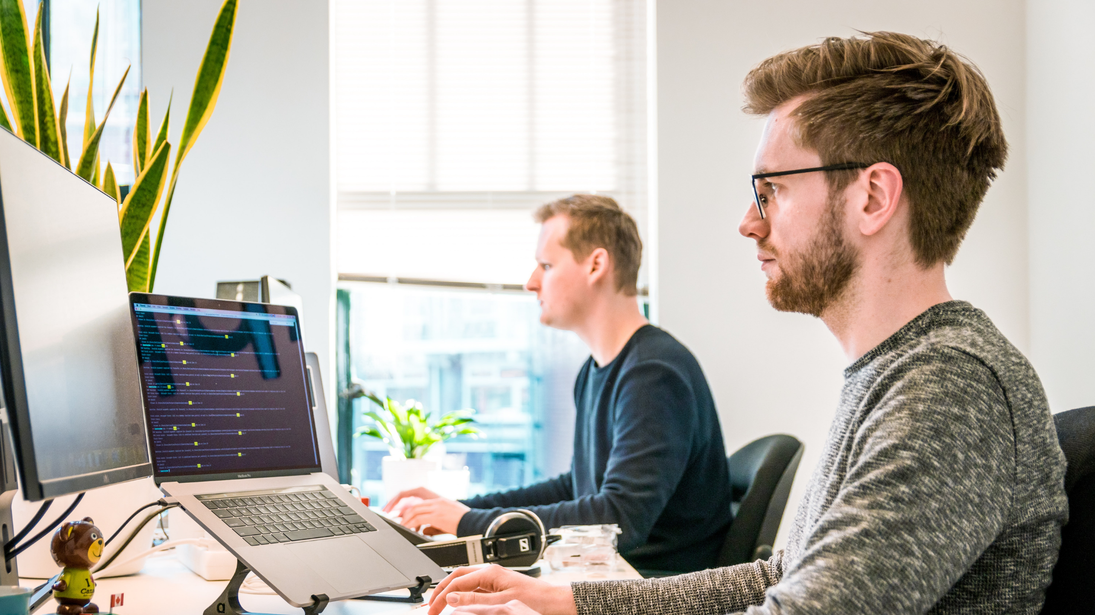 Why is it almost impossible to hire a senior programmer?